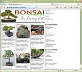 weblab - bonsai.co.nz
